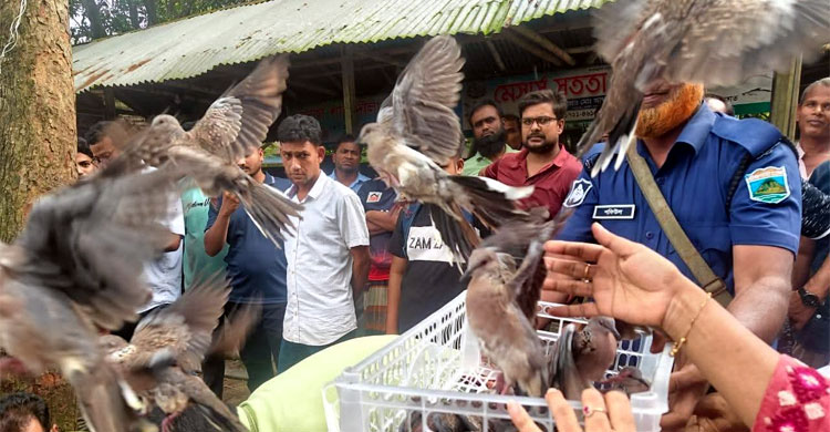 রাজশাহীতে ২০০ ঘুঘু উদ্ধার, দোকানির জরিমানা
