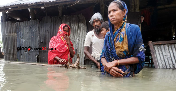 ভোলায় প্লা‌বিত বসতঘর, ভে‌সে গে‌ছে গবা‌দিপশু