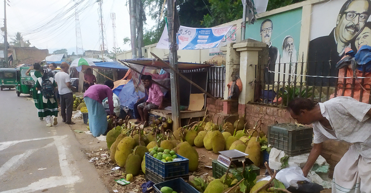 মৌসুমি ফলে ভরপুর পাহাড়ি বাজার