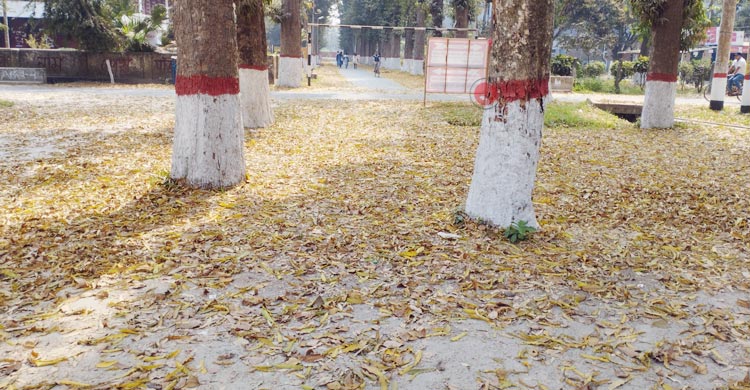 বসন্তের ছোঁয়ায় নবরূপে রাবি ক্যাম্পাস