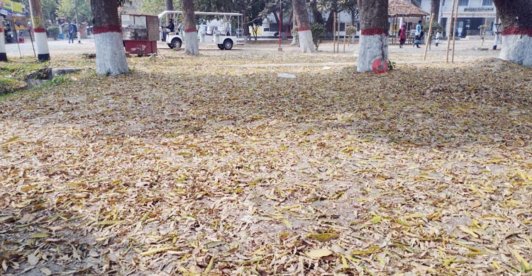 বসন্তের ছোঁয়ায় নবরূপে রাবি ক্যাম্পাস