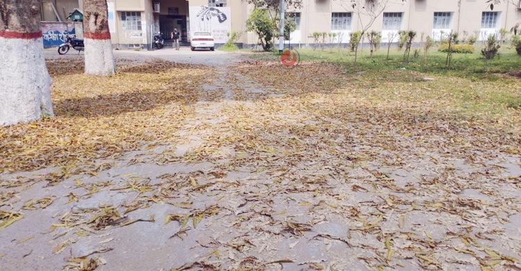 বসন্তের ছোঁয়ায় নবরূপে রাবি ক্যাম্পাস