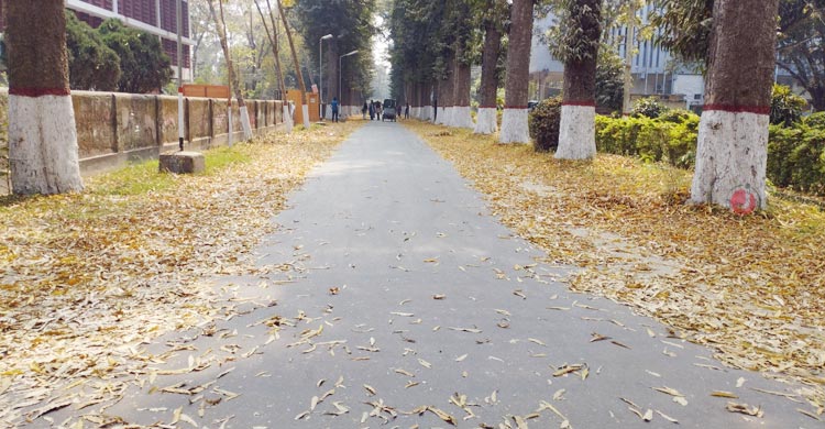 বসন্তের ছোঁয়ায় নবরূপে রাবি ক্যাম্পাস