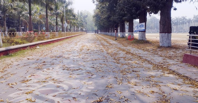 বসন্তের ছোঁয়ায় নবরূপে রাবি ক্যাম্পাস