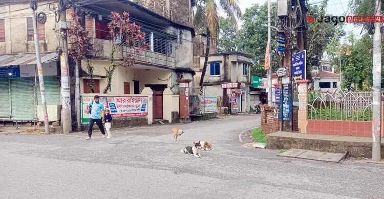 বেওয়ারিশ কুকুরের উপদ্রব, ৬ মাসে ভ্যাকসিন নিলেন সাড়ে ৬ হাজার মানুষ