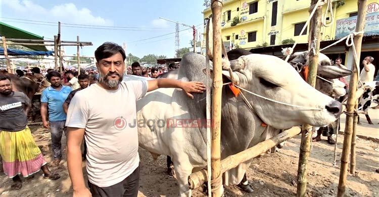 ব্যঙ্গ করে ডাকতো ‘চাষা’, বিলেতফেরত সেই তরুণের খামারে এখন শতাধিক গরু