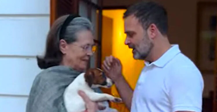 রাহুলের সঙ্গে গান্ধী পরিবারে এলো নতুন সদস্য