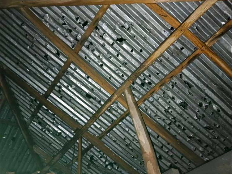 রামপালে ঝড় শিলাবৃষ্টিতে ফসলের ব্যাপক ক্ষতি