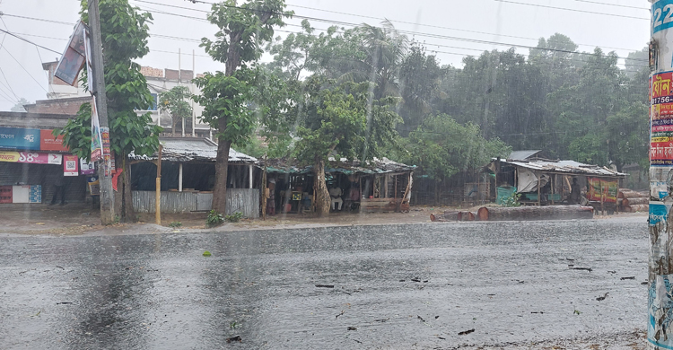 প্রতীক্ষার প্রহর শেষ হলো, বৃষ্টি নামলো চুয়াডাঙ্গায়