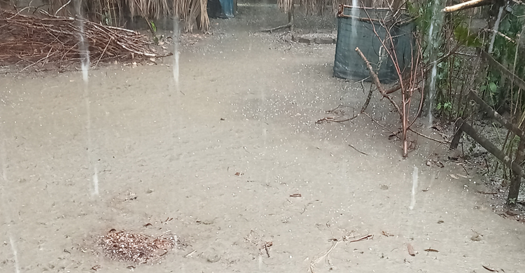 স্বস্তির বৃষ্টিতে শীলার বেদনা