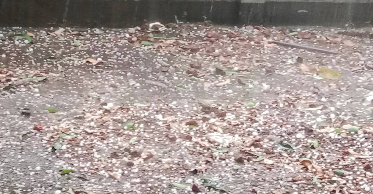 চাঁপাইনবাবগঞ্জে ব্যাপক শিলাবৃষ্টি