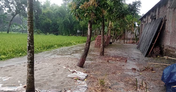 প্রতীক্ষার অবসান, নীলফামারীতে নামলো বৃষ্টি