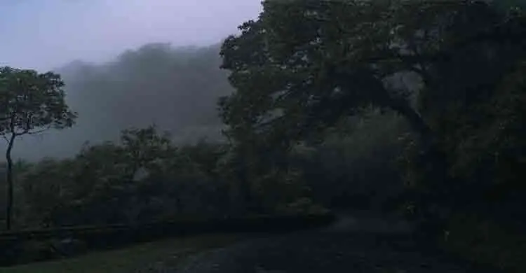 বিশ্বে সবচেয়ে বেশি বৃষ্টি হয় যেসব জায়গায়