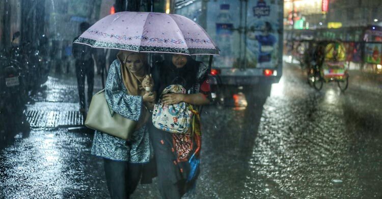 নভেম্বর রেইন আসলে কী?