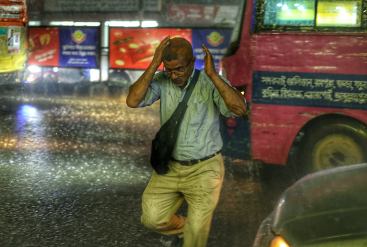  মাহবুব আলম 