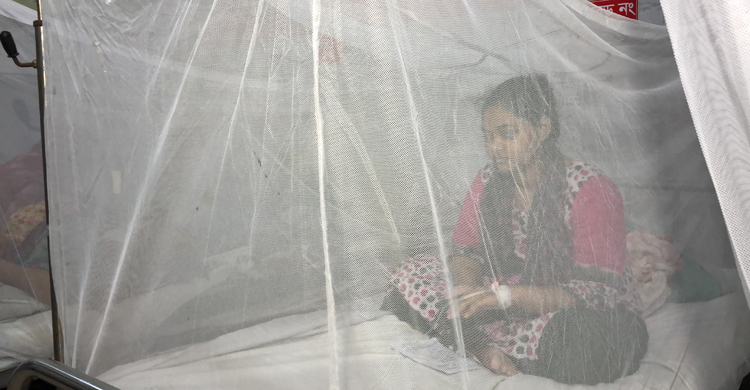রাজশাহীতে গ্রামেও ছড়িয়ে পড়েছে ডেঙ্গু