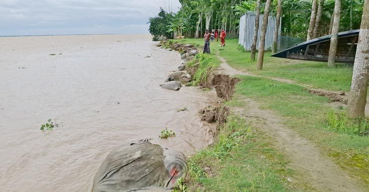 পদ্মার ভাঙনে আতঙ্কে স্থানীয়রা, ভেসে যাচ্ছে জিও ব্যাগও