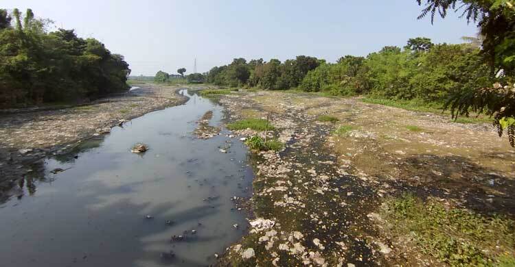 রাসিকের দূষণে ধুঁকছে প্রমত্তা বারনই নদী