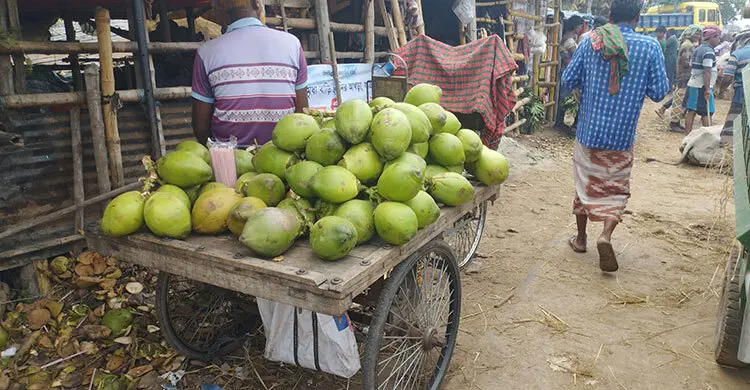 পশুর হাটে ৮০ টাকার ডাব ১৫০!
