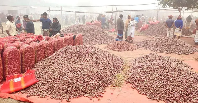 পেঁয়াজে স্বপ্নভঙ্গ কৃষকের