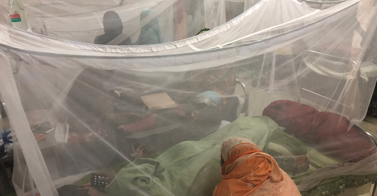 রাজশাহীতে গ্রামেও ছড়িয়ে পড়েছে ডেঙ্গু