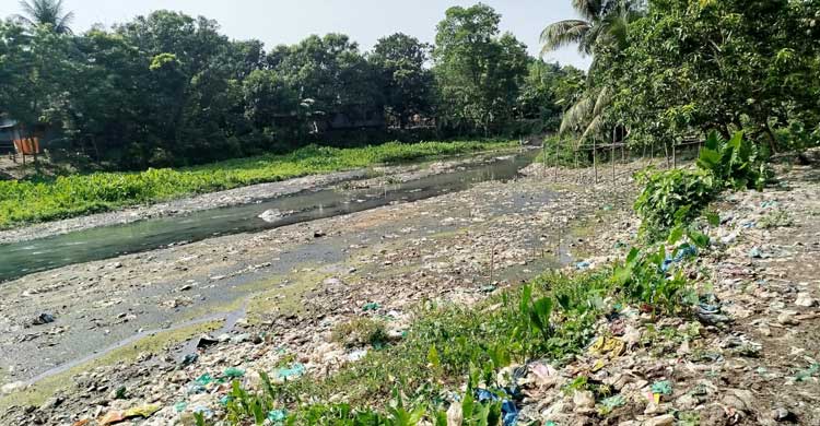 রাসিকের দূষণে ধুঁকছে প্রমত্তা বারনই নদী