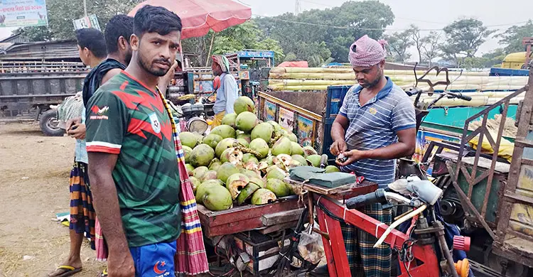 রাজশাহীর ঐতিহ্যবাহী সিটি হাটে একেকটি ডাব বিক্রি হচ্ছে ১৩০-১৫০ টাকায়/ছবি-জাগো নিউজ