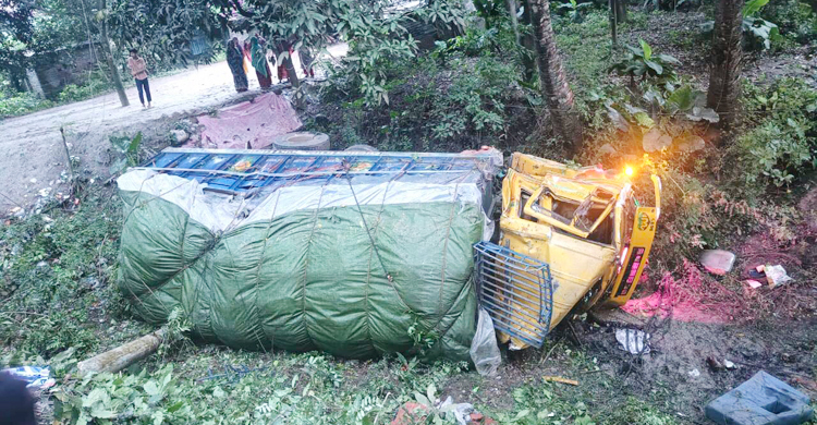 বৈদ্যুতিক খুঁটির সঙ্গে ধাক্কা লেগে ট্রাক খাদে, চালকের মৃত্যু