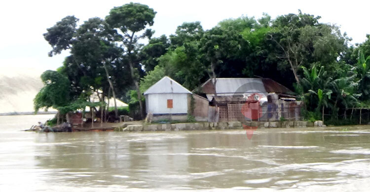 দৌলতদিয়ায় বিপৎসীমা ছুঁই ছুঁই করছে পদ্মা