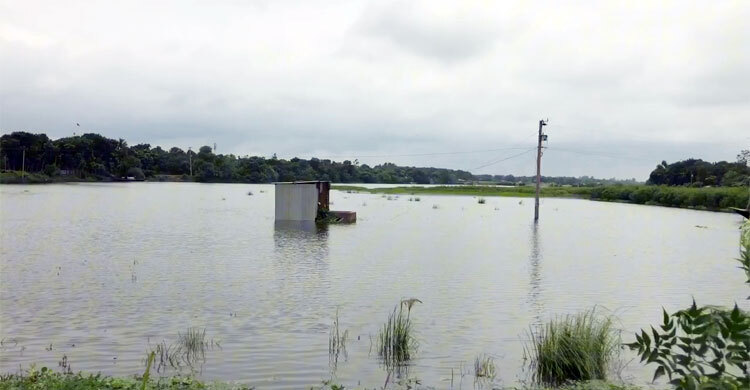দৌলতদিয়ায় বিপৎসীমার নিচে নামলো পদ্মা