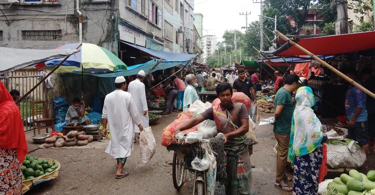 বৃষ্টি বন্ধ হওয়ায় স্বস্তি ফিরেছে সবজিতে