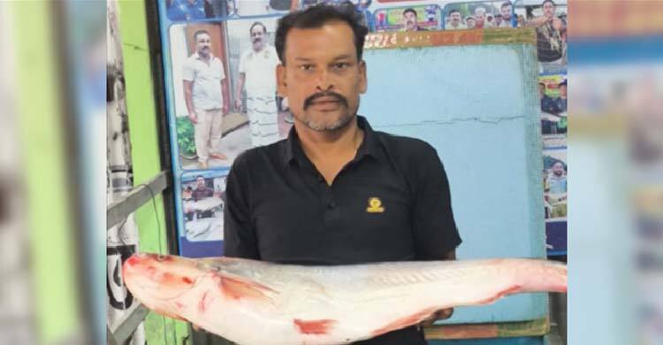 দৌলত‌দিয়ায় এক ঢাই মা‌ছ ২৯ হাজারে বি‌ক্রি