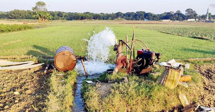 ডিজেল সংকটে উত্তরাঞ্চলের চাষিরা, বোরো চাষাবাদ নিয়ে শঙ্কা
