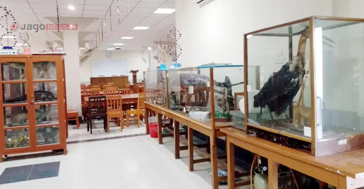 কাচের জারে বন্দি শত বছরের ইতিহাস