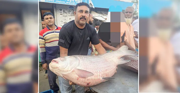 এক কাতল বিক্রি হলো ৭৩ হাজার টাকায়
