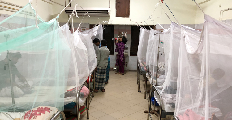 রাজশাহীতে গ্রামেও ছড়িয়ে পড়েছে ডেঙ্গু