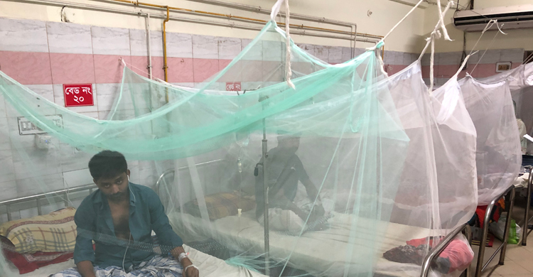 রাজশাহীতে গ্রামেও ছড়িয়ে পড়েছে ডেঙ্গু