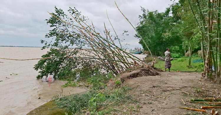পদ্মার ভাঙনে আতঙ্কে স্থানীয়রা, ভেসে যাচ্ছে জিও ব্যাগও