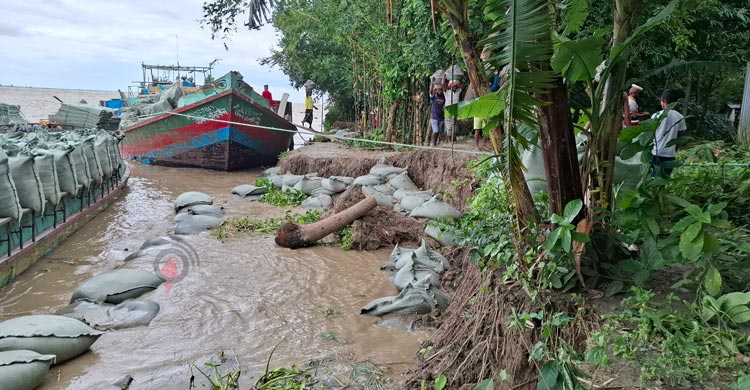 পদ্মার ভাঙনে আতঙ্কে স্থানীয়রা, ভেসে যাচ্ছে জিও ব্যাগও