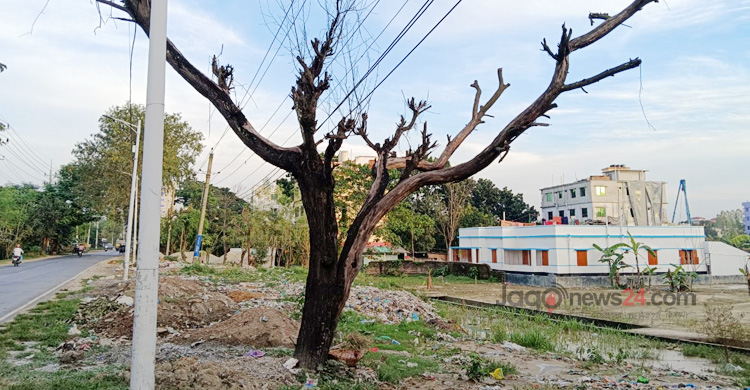 মহাসড়কে বর্জ্য ফেলছে রাসিক, মারা যাচ্ছে গাছপালা