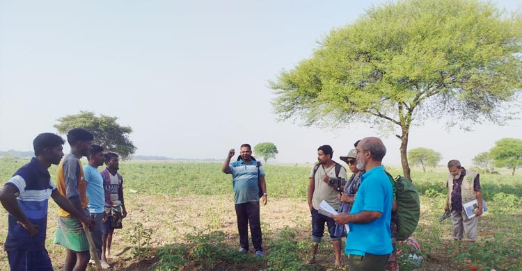 পদ্মার সেই কুমিরের দেখা পায়নি বন বিভাগ, চলছে সতর্কতা