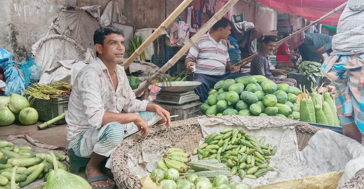 বৃষ্টি বন্ধ হওয়ায় স্বস্তি ফিরেছে সবজিতে