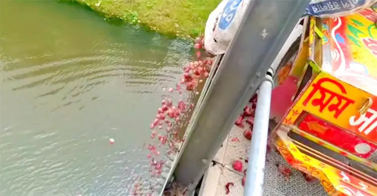 ন্যায্যমূল্য না পেয়ে বস্তাভর্তি পেঁয়াজ নদীতে ফেললেন কৃষক