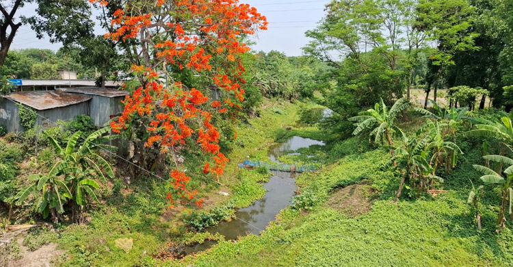 নদীবেষ্টিত রাজবাড়ীতে পানির অভাবে বাড়ছে সেচ খরচ