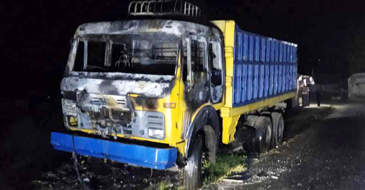 রাজবাড়ীতে পার্কিং করা ট্রাকে দুর্বৃত্তের আগুন
