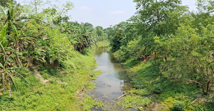 নদীবেষ্টিত রাজবাড়ীতে পানির অভাবে বাড়ছে সেচ খরচ