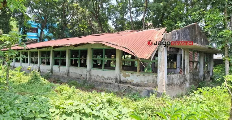৪ জনের লড়াইয়ে টিকে আছে রাজবাড়ীর সরকারি মুরগি খামার
