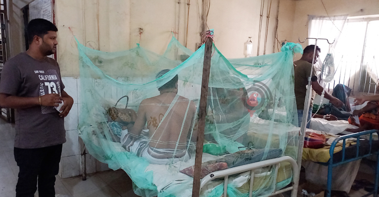 রাজবাড়ীতে বাড়ছে ডেঙ্গুর প্রকোপ, অনুন্নত চিকিৎসা ব্যবস্থা