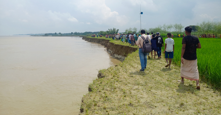 ২ সপ্তাহে পদ্মায় বিলীন ৫০ বিঘা জমি, ভাঙন রোধের দাবিতে মানববন্ধন