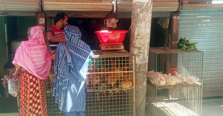 বেড়েছে সবজির দাম, কমেছে ডিমের